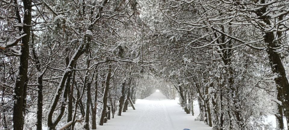 ��� ��� �������� ���� ���� ���� ���������