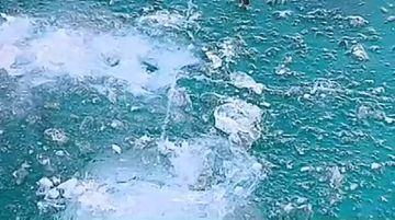 ����� ��������: � �� ���������� � ����������� ����?