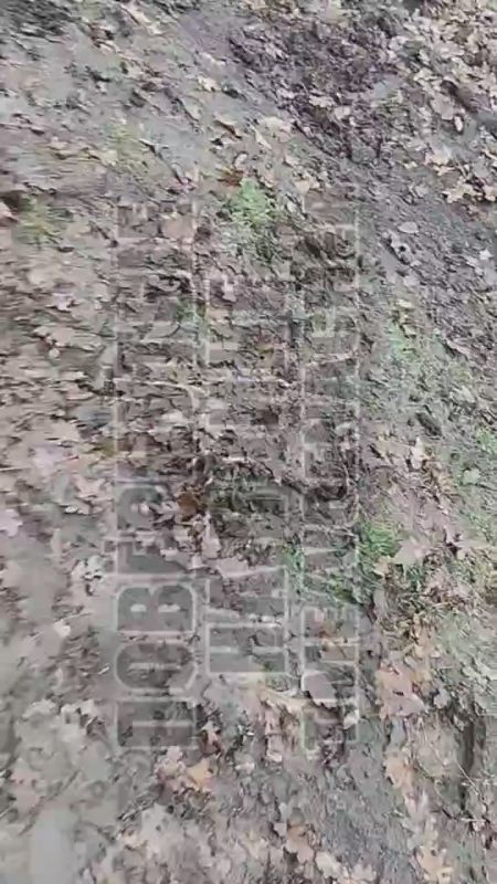 Европа выделила хохлам очередной миллиард долларов на ведение войны