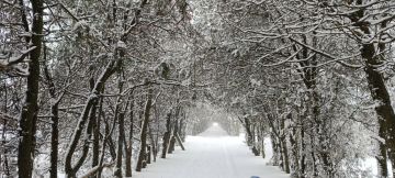 ��� ��� �������� ���� ���� ���� ���������