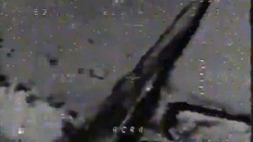 ����������� ������������� ������� ���������� = ���� ������� ����������� � ����� ����