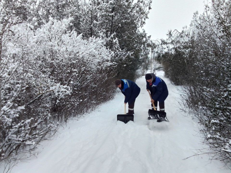 � ��������� ������ ������������ ������ �� ������� ����� �� �����