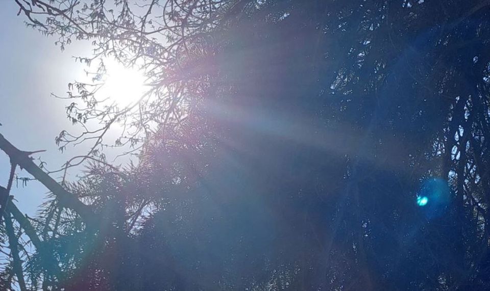 ������ ����� �������� � ���������� ������ ����