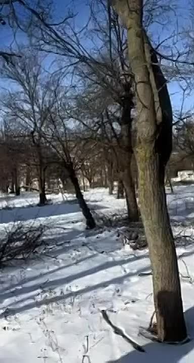 ������, ����������� ������ �� 20 ������ 2026 ����