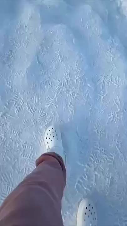 ���� ����� ������ �� ��������