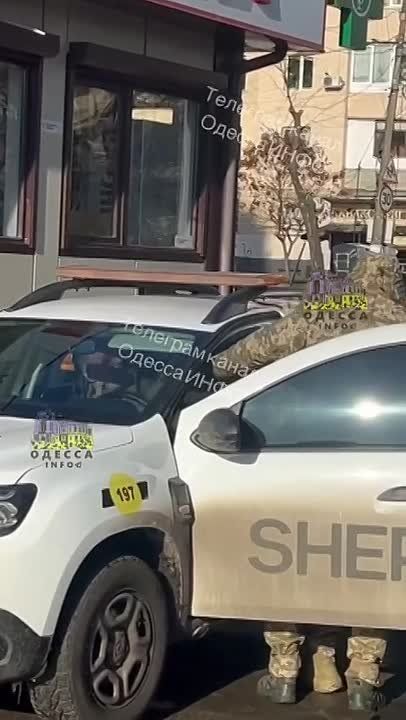 � "����������" ������������ �������������� "�����������"