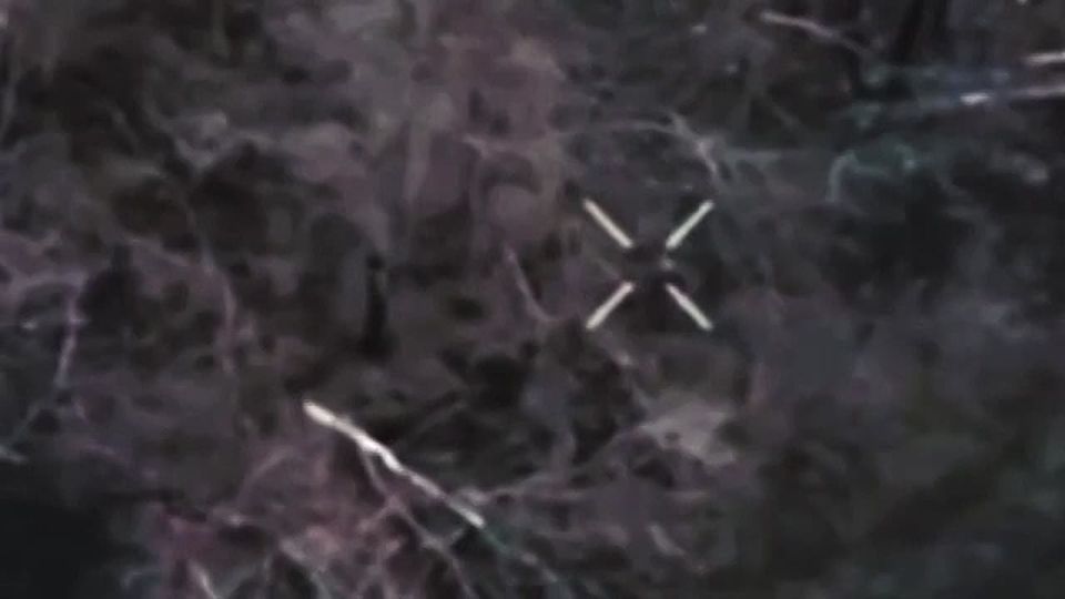 ����� �������� ����������. ��������-����� ���������� �������