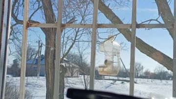 �� ��� ����� �������� �����! ���������� ���������������� ���������������� ������ ����� ������� �� �������� �� �����