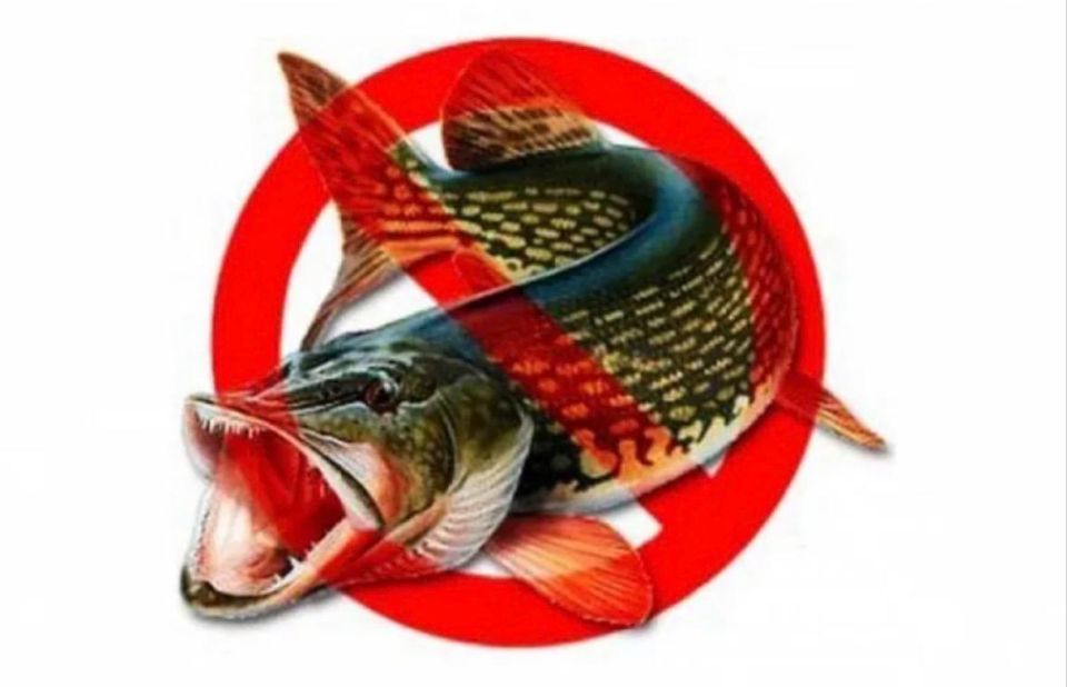 ��������, ������ ����������!