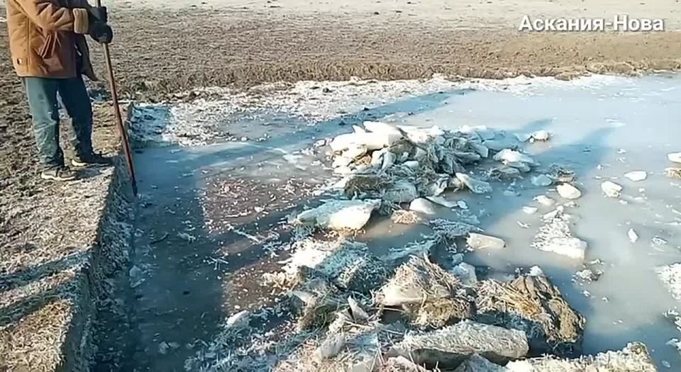 �� ������ ���������� ������: ������������� ���������� ���������� �����