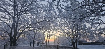 Надежда Бабешко: Доброе утро, жители Ивановки и Ивановского округа!