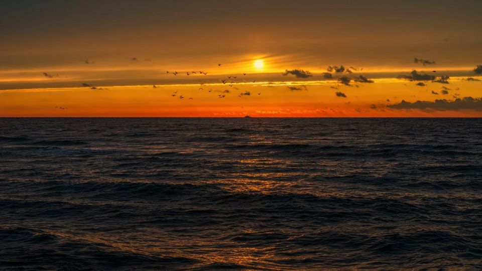 ����� ����������: ������� ������ �������� � �����