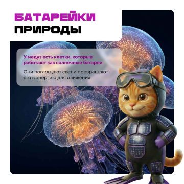 ������� � ��������� ����� ��������� �����, � ������� �� ����� ���� ��� ������������ �������