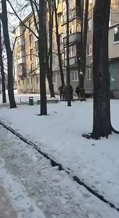 ���� �� �������: ����� "���������" � ���� ��� � ��������