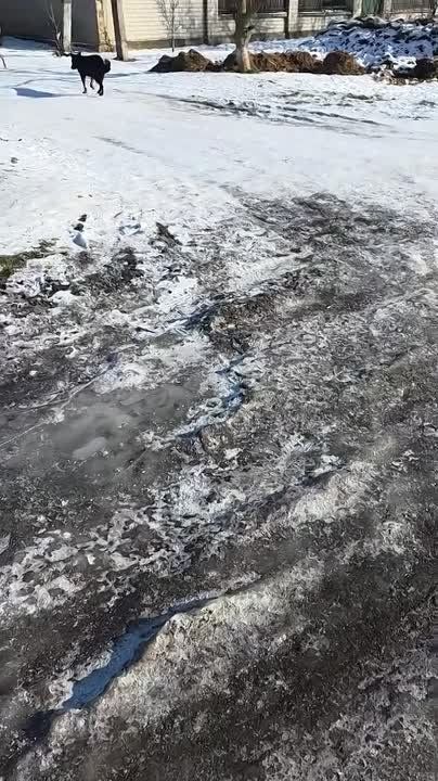 � ���������� ������� ����������� � �������� � ���������� ��������