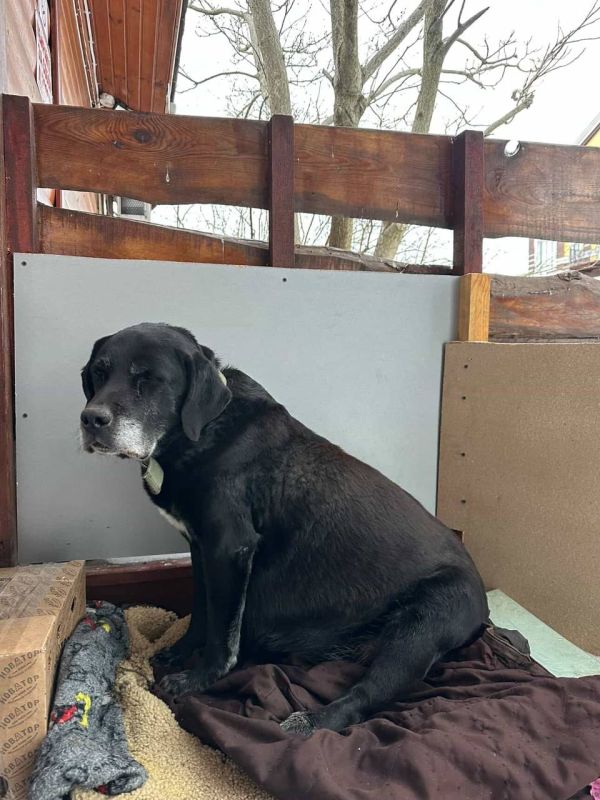 ��������� ���� �������. ������, ��� �� ����� � ����� ������ �������������� ��������� ����! � ���������, ��� �������� �������� �������