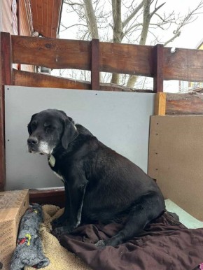 ��������� ���� �������. ������, ��� �� ����� � ����� ������ �������������� ��������� ����! � ���������, ��� �������� �������� �������