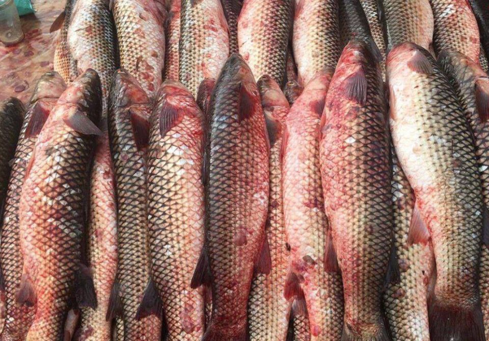 � �������� ���� �� 26% ����� ����� ������ ���������