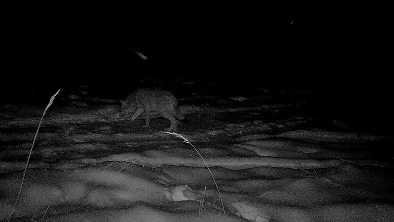 #* Подборка интересных новостей из регионов к этому часу