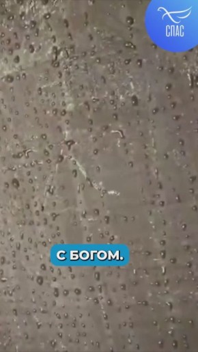 ������� ��������� ������� ��������