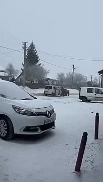 ���� �� �������: ��������� �������, ���� ���