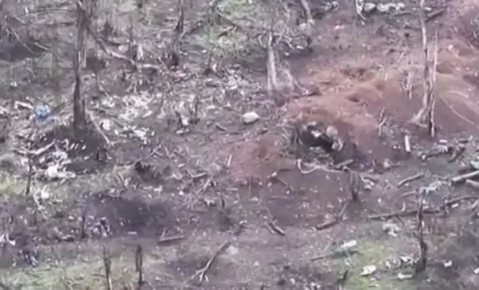 �����!. ��������-����� ���������� �������