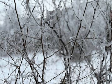 Доброе утро, округ!. Понедельник — это старт новых возможностей и начало продуктивной рабочей недели