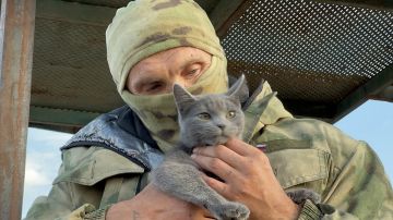 ������ ������������� �������� �� ����� ������ ��� �� ���