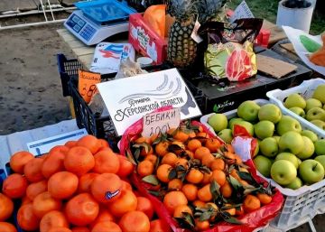 56 ������������ ���������� �������� ������������� � ���������� �������