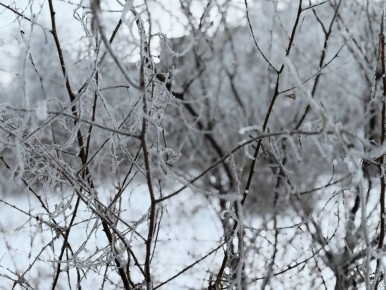 ������ ����, �����!. ����������� � ��� ����� ����� ������������ � ������ ������������ ������� ������