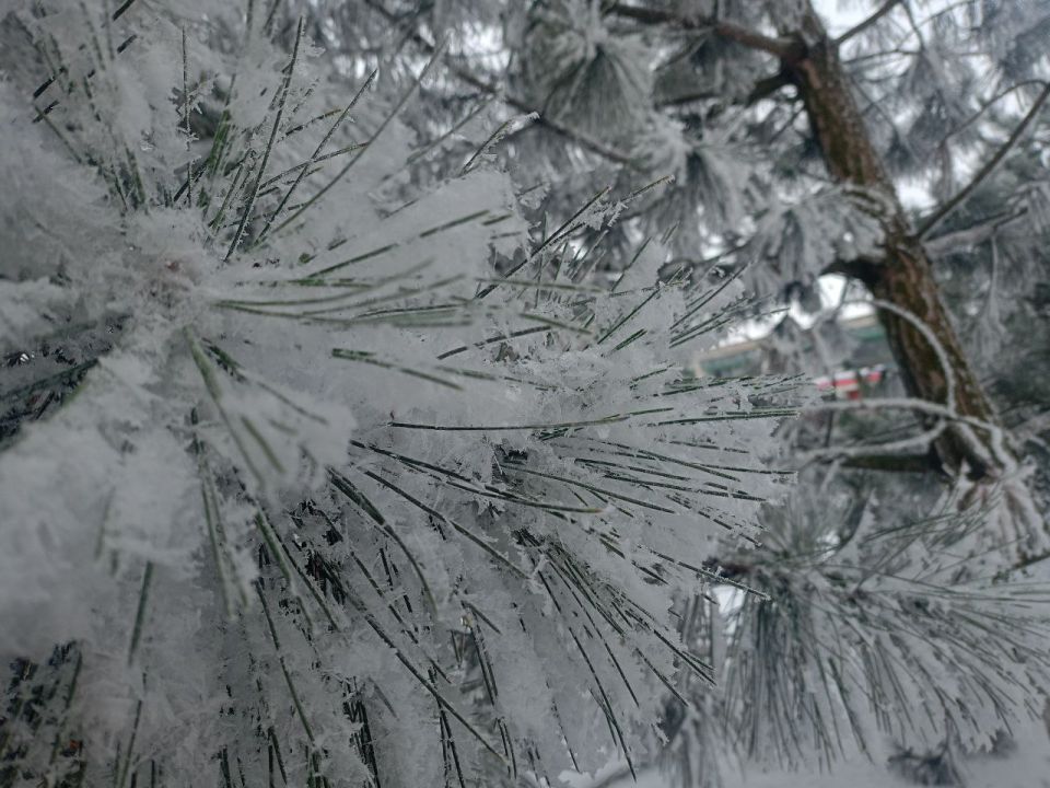 Юные фотографы запечатлели зимнюю сказку Нижнесерогозского МО