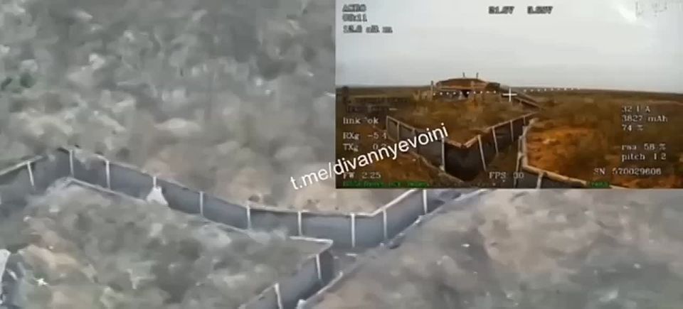 ���� ��������.. ��������-����� ���������� �������