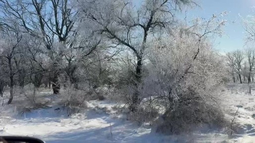 ����������� ���������������� ������� ����������� ���� �� ���������� �����