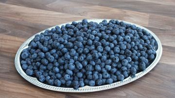 Ягода молодости. Ученые установили, что черника влияет на старение клеток