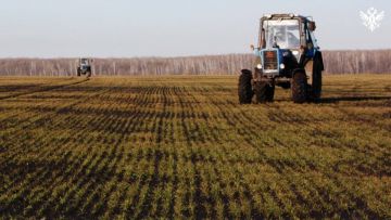 � ���������� ������� � 2026 ���� ��������� ��������� �������� ������� �� �������� �������� � ��������� ���������������� ��������