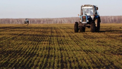 � ���������� ������� �������� ���������������� �������� � �������� �������� ������� �� �������� ��������