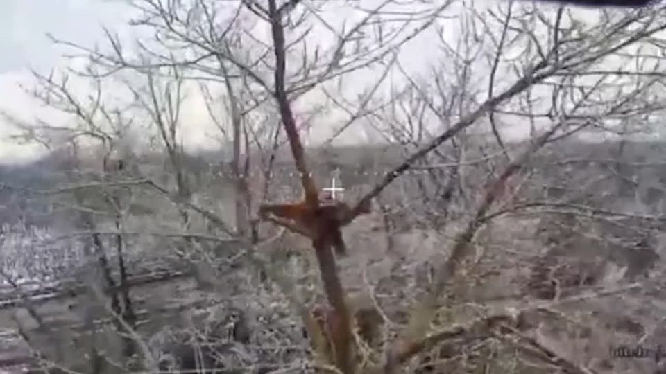 ���� �� �������: ������� ����� ����������� ������ ������������ ������������ ��������-���������� ���������� ��� ������� ������ ����� �� �������� ��� � ����������� ������� � ���� ��������������� ����������� ������