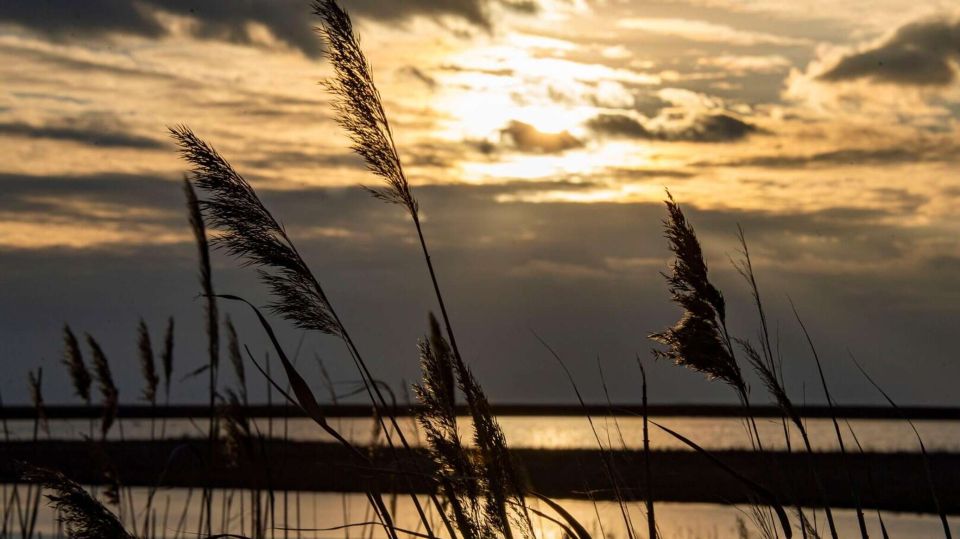 � ���������� ������� �������� ����� ������� � ������� ��������� �������