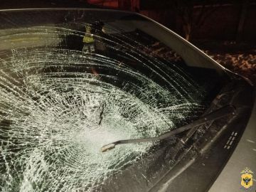 В Скадовском округе полицейские устанавливают обстоятельства ДТП с пострадавшим пешеходом