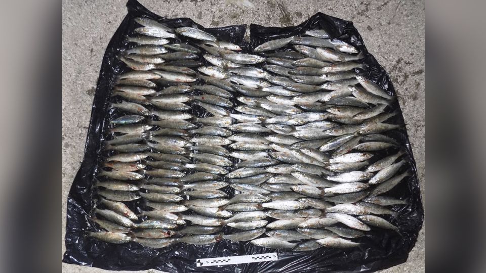 ���������� ������������ ������� ��������� ���� �����������, ���������� ����� 210 ��� � ������ �����