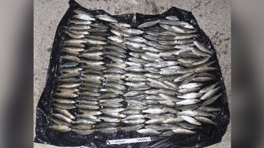 ���������� ������������ ������� ��������� ���� �����������, ���������� ����� 210 ��� � ������ �����