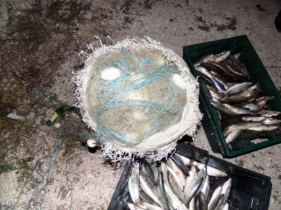 � ���������� ������� ��������� ���������� � ������ ����� 210 ���