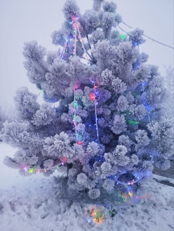 ������ ����!. ���� ������ ��������� ��� � �������� ����������! �����, ���������� �������� � ������� �� ������