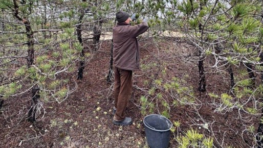 � ��������������� ������� ��������� ���� �������� ����� ��� �������������� �����