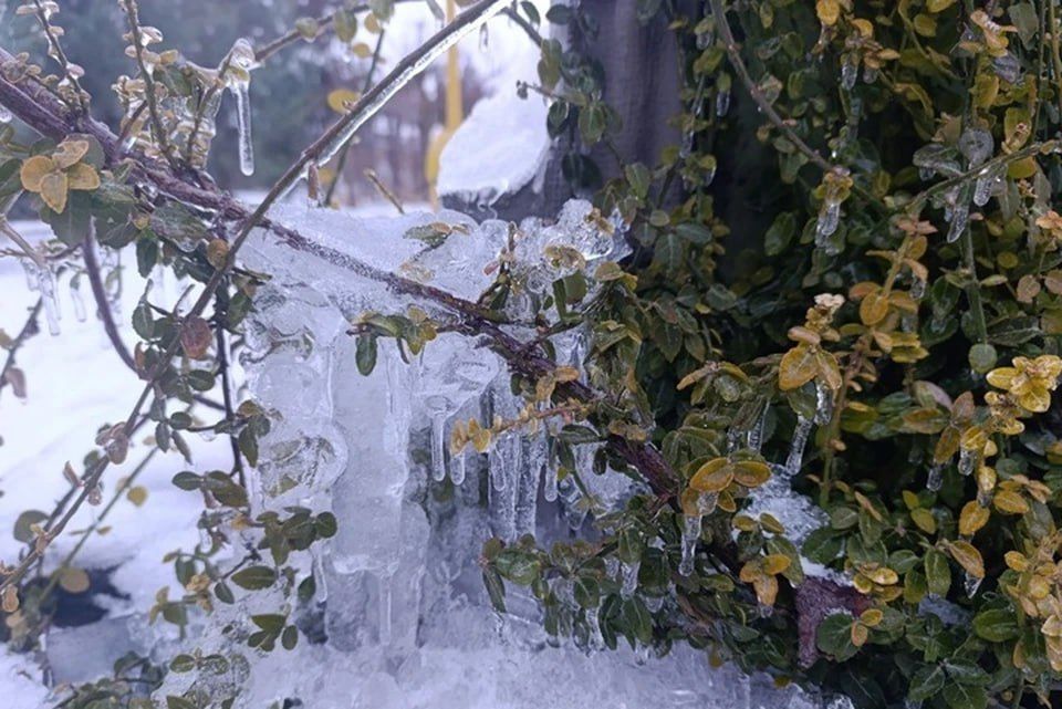 � ���������� ������� 27 ������ ��������� ������� � ���������� �����