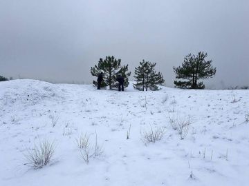 ���� �������� ����� �������� � ��������������� ������� ��� �������������� �����