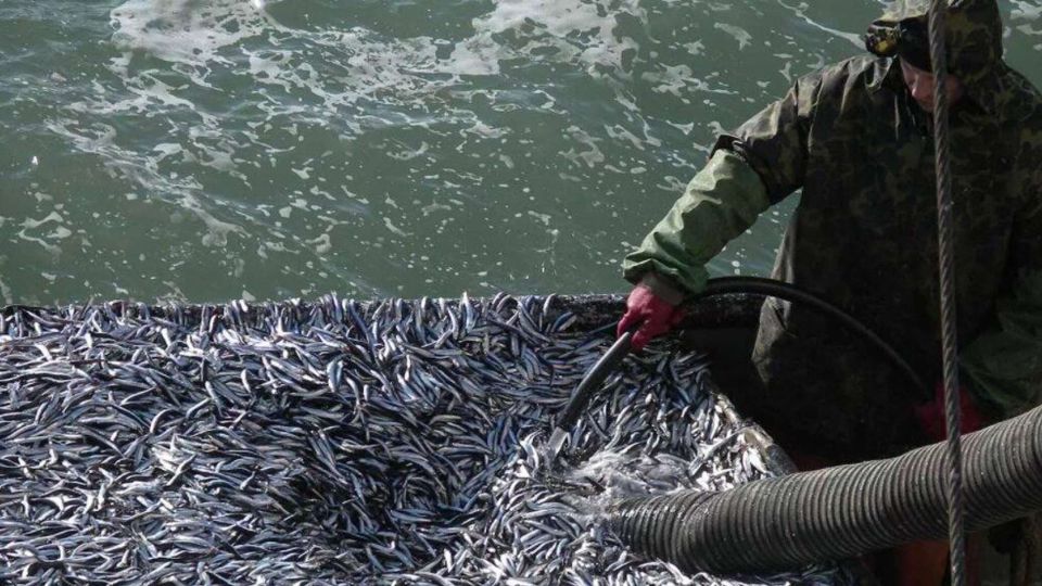 ��� ���������� �������� "��������" �� ���������� ������� � ������