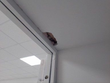 ����� ��������: �������� � �������� ������������ ����� �������� ��������� ���������������