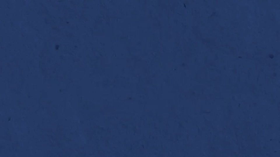 ����� ����: ����� ��� ������ �������� ����������� �������� �������������� ��������������� �� ������������ ����� � ����������� � ������������ ��������� � ��������� �������� ���������� ������������ ������� ���������� ���...