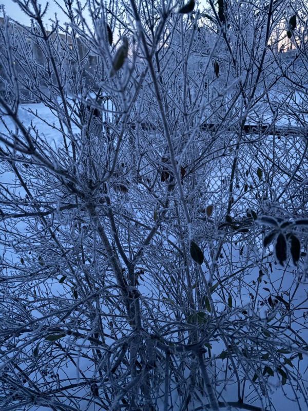 ������ ����, �����!. ������� �����, 28 ������